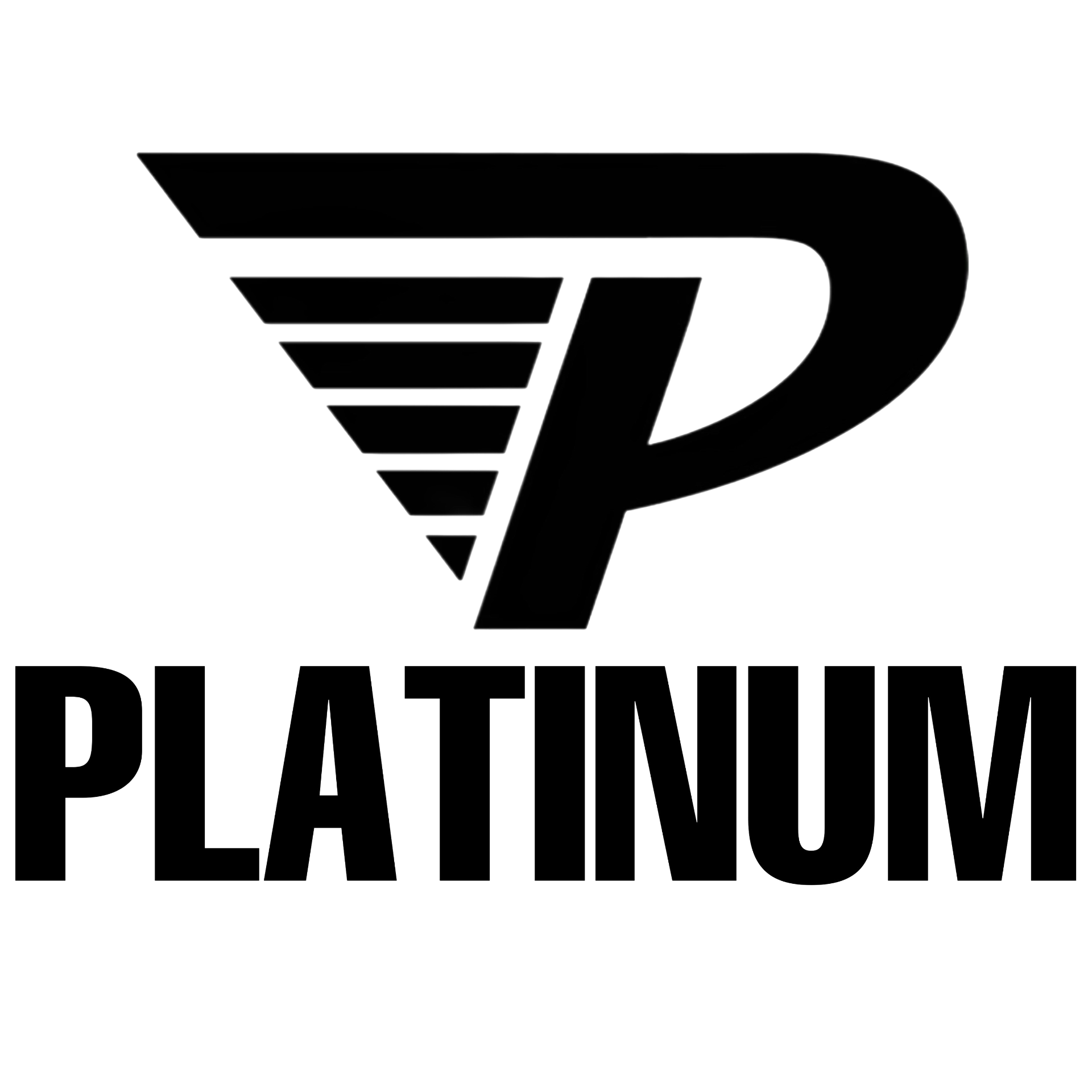 Platinum Athletics Prep Academy